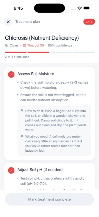 AI diagnosis in the OMG app